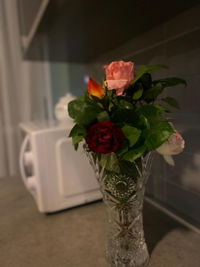 Casa Dorato In Torino Centro Apartment Екстериор снимка